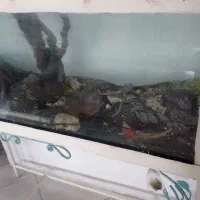 اکواریوم با پایه فرفورژه