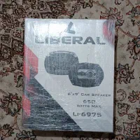 باند آمپلی فلشر