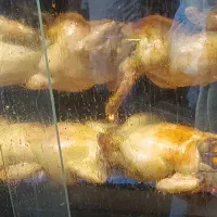 استخدام شاگرد ساده برای کاردرپاچینی