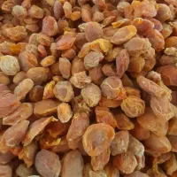 قیصی درجه یک