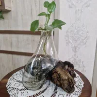 گلدان چوبی گلدان شیشه ای گلدان سنگی