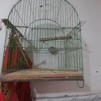 قفس پرنده