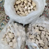 قروت تربتی