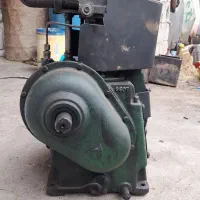 مارگو