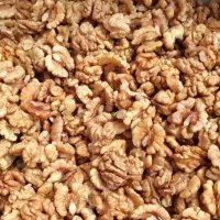 فروش گردو مستقیم از تولیدی