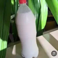 دوغ محلی میمه
