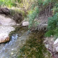 زمین-روستایی