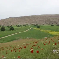 فروش زمین کشاورزی گردشگری باسندتک برگ قطعی