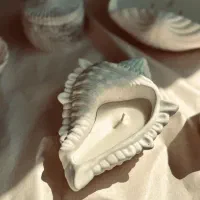 شمع و دکوری