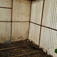 گنجه. قفس حیوانات  کبوتر .پرنده
