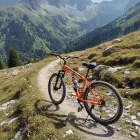 دوچرخه در حد نو