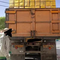 حلب عسلی