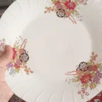 سرویس غذا