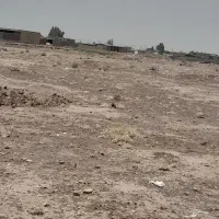 ۱۲ قصب زمین مسکونی رفسنجان