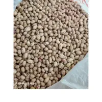 لوبیا چیتی