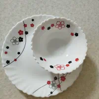 سرویس ارکوپال ۱۲نفره