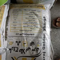 چسب کاشی ساروج طلایی همراه با جایزه
