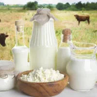 ماست گاومیش پر چرب