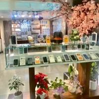 نیروی کار خانم برای موبایل فروشی