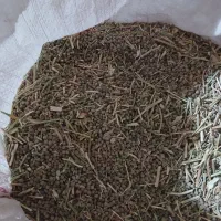 فروش گاودانه