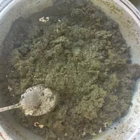 محصولات خونگی