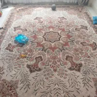 فرش کرم ۱۲ تومن