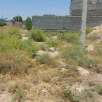 زمین ویس واقع در زمین‌های عطار