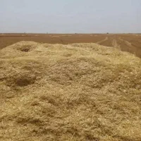 فروش کاه