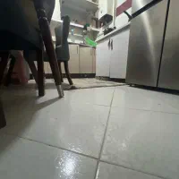 خانوم‌جهت نظافت