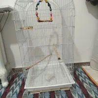 قفس