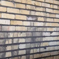 بنایی ساختمان باغ ویلا