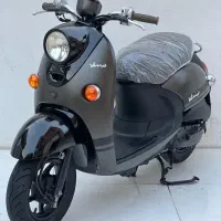 پاکشتی رنگارنگ ژاپنی