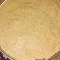 ده کیلو بگل اعلا بز