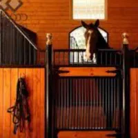 پانسیون اسب