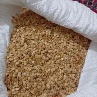 فلفل دلمه ۳۰۲با۷۱۴۱