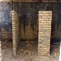 اسکلت در گردخون