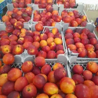 میوه فروشی  دا