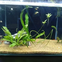 اکواریوم با تجهیزات