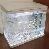 اکواریوم مکانیزه