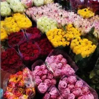 دسته گل رزجشنواره