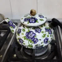 ظروف سبز