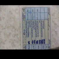 پیدان شدن مدارک