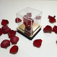 رز جاودان طرح 1کادو روز ولنتاین  تولد عروسی ازدواج