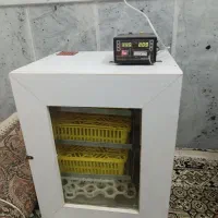 دستگاه جوجه کشی