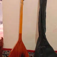 سافت کیس تنبوره