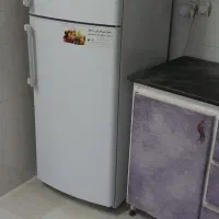 یخچال الکترو استیل 14 فوت