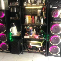 اسپیکر  دوقلو مکسیدر
