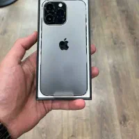 13Pro/256Gb/Za.a