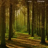 آموزش  تمرکز ذهن  خود هیپنوتیزم و خلا فکری