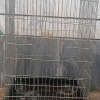 قفس بزرگ پرنده
